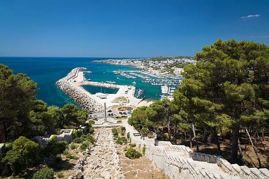 Discover Two Seas, Coastal Beauty and Historic Wonders