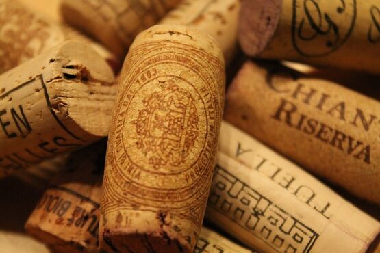 Chianti Classico: Iconic Estates, Hidden Gems & the Art of Fine Winemaking