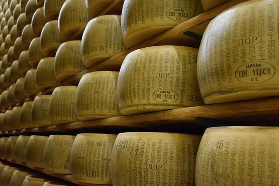 The Birth of Parmigiano Reggiano: Dairy Tour & Premium Tasting Experience