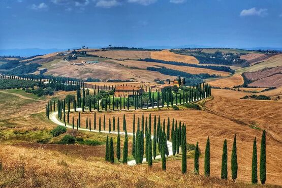 A Taste of Val d'Orcia: Pienza, Montepulciano and Wine Experience