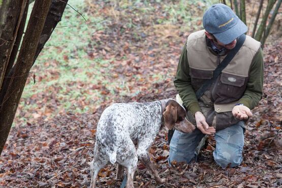 Private White Truffle Hunting with Lunch: Exploring the Secrets of Nature’s Hidden Treasure
