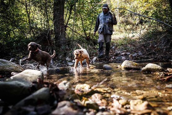 Black Truffle Hunting with Lunch: Discover Nature’s Hidden Treasure