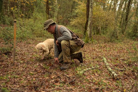 Black Truffle Hunting: Discover Nature’s Hidden Treasure with a Tasting of Local Delicacies