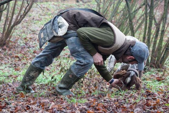 Black Truffle Hunting: Exploring the Secrets of Nature’s Hidden Treasure