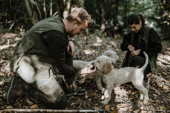 The White Truffle Experience with Lunch in the Heart of Roero