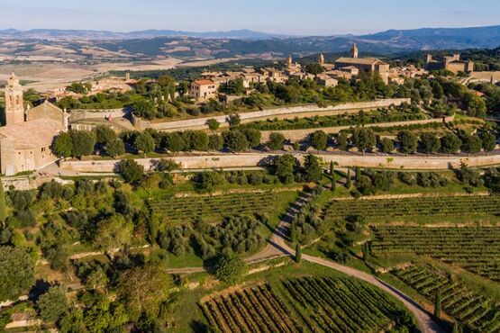 Brunello Wine Escape: Mastrojanni Winery & Conti Costanti