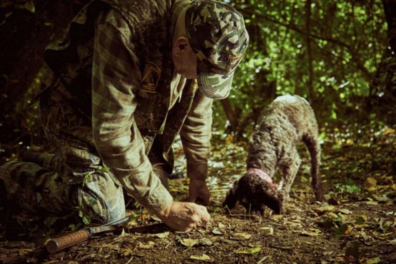 Black Truffle Hunting With Lunch