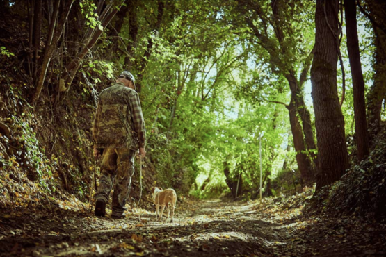 Truffle Hunting With Lunch