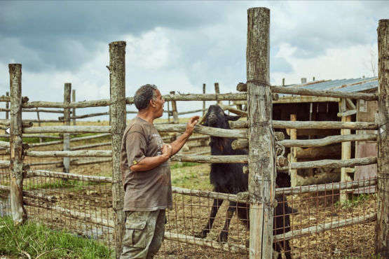 Farm Tour with Cheese Tasting