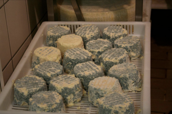 Cheese Making Demonstration