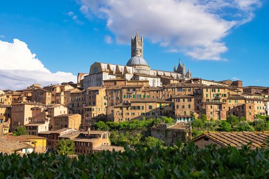 Discover Tuscany: Siena’s Splendor & Chianti’s Essence