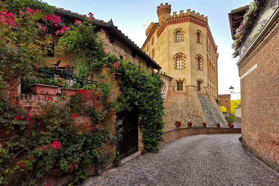 Barolo Land