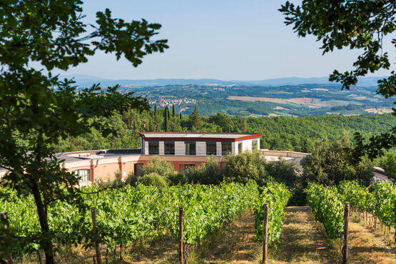 Castello di Fonterutoli Sangiovese Master Class