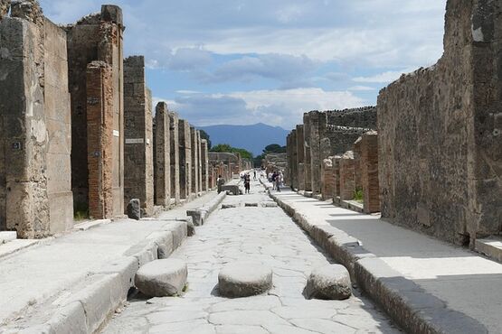 Pompeii and Wine Experience on the Volcano Vesuvio