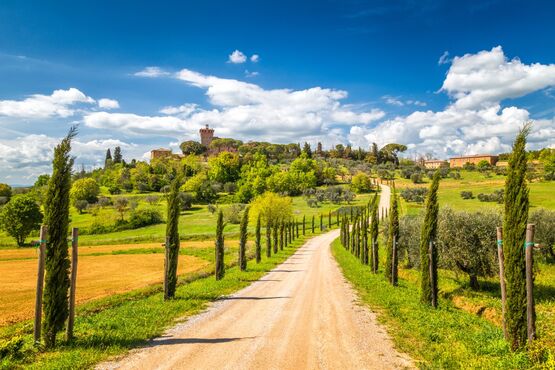 History and Brunello Wine - Prestige: Pienza & Montalcino with Visit and Lunch at Tenuta di Argiano