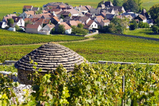Côte De Nuits Half Day Wine Tour  - Private