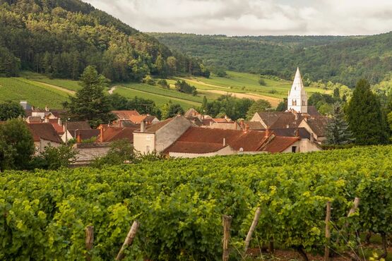 Côte De Beaune Half Day Wine Tour - Private