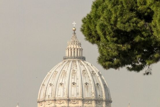 A day In Rome: Coliseum & Vatican with lunch