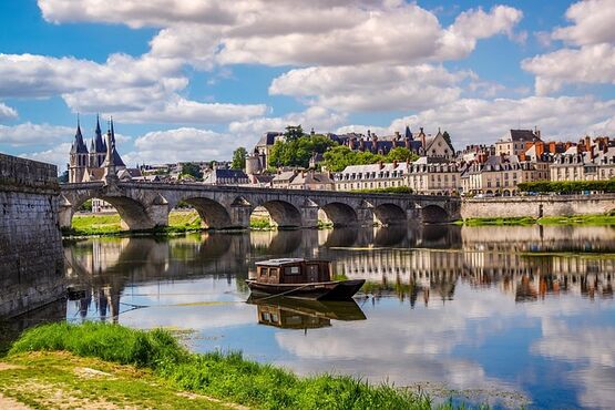 Loire Valley Day Tour: Chambord & Blois Chateaux with Wine Tasting