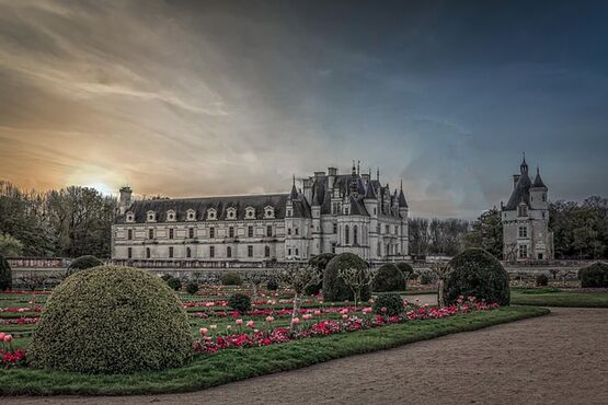 Loire Castles Full Day Guided Tour: Chenonceau and Wineries with Lunch