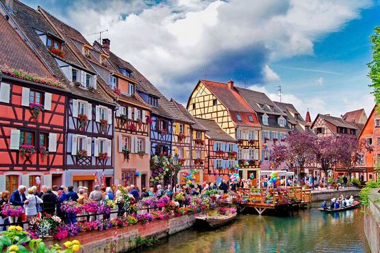 Full-day Wine Tour in the Black Forest and Alsace