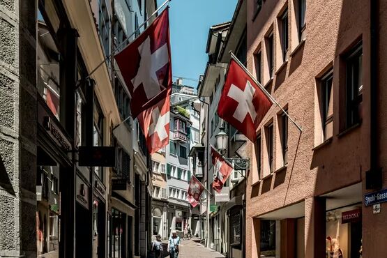 Zurich, Schaffhausen and Rhine Falls Full-day Private Guided Tour