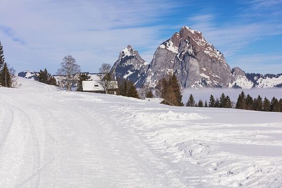 Alpine Private Guided Hike in Stoos from Klingenstock to Fronalpstock
