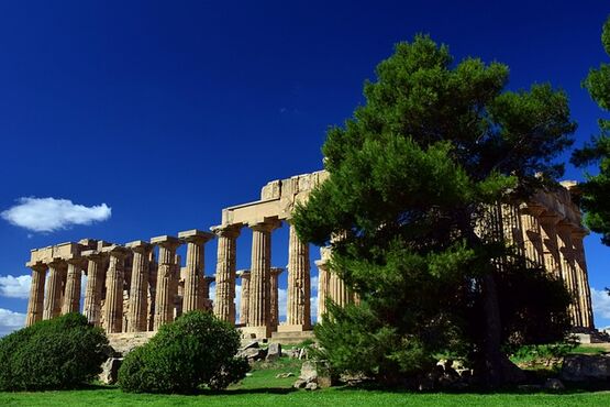 Selinunte Guided Tour with Private Transportation