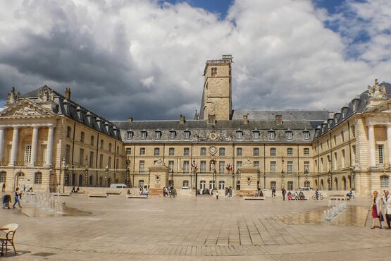 The Dukes of Burgundy and their Palace: Half Day Dijon Walking Tour