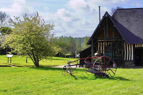 Normandy Flavors: Cheese, Cider and Calvados in a full-day tour