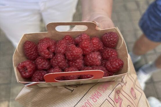 Bordeaux Historic Quarter Small Group Food Tour