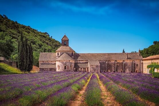 Senanque Abbey Private Guided Tour