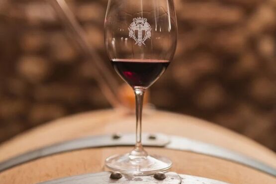 Gigondas and Châteauneuf-du-Pape Wine Tour